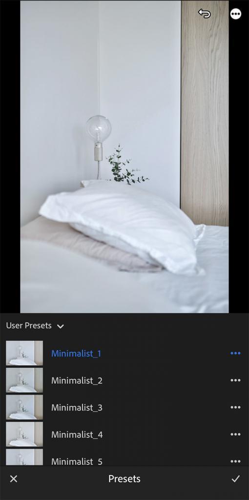 minimalist lightroom photo filter