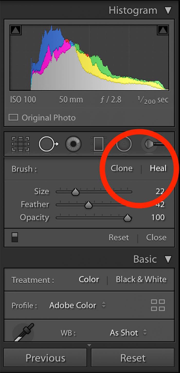 How To Use the Spot Removal Tool In Lightroom Hue & Hatchet