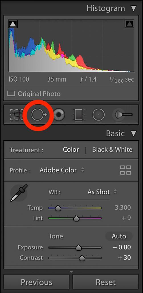 How To Use the Spot Removal Tool In Lightroom Hue & Hatchet